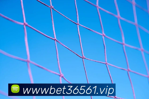bet365APP 封面图